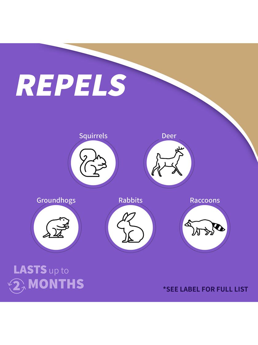 Repels-All Animal Repellent | Rabbit Repellent | Gardener's Supply