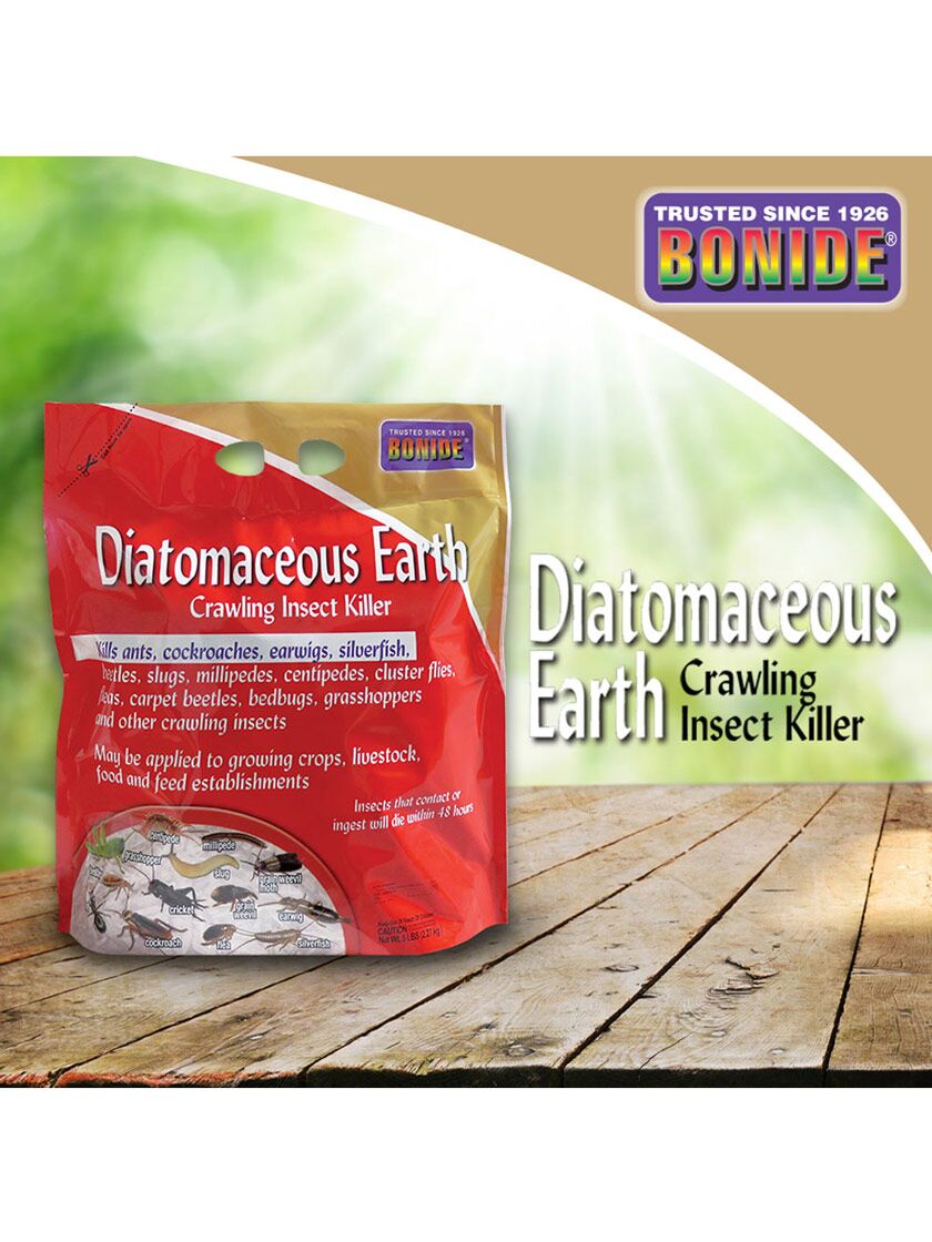 Where to Buy Diatomaceous Earth Free Shipping