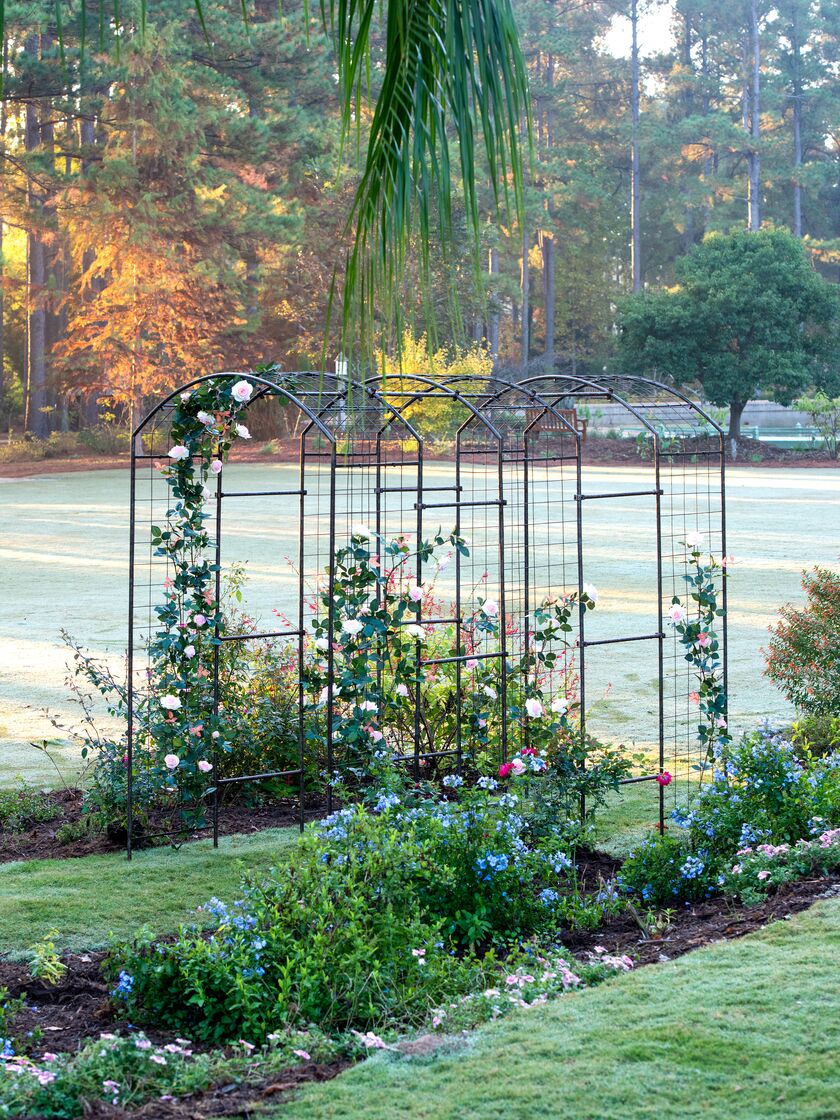 Jardin Rose Arch Connectors, Set of 8 Gardener's Supply