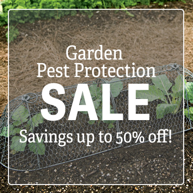 Garden Pest Protection Sale, save up to 50%