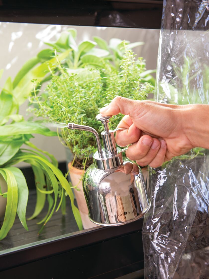 Indoor Plant Mister Gardener's Supply