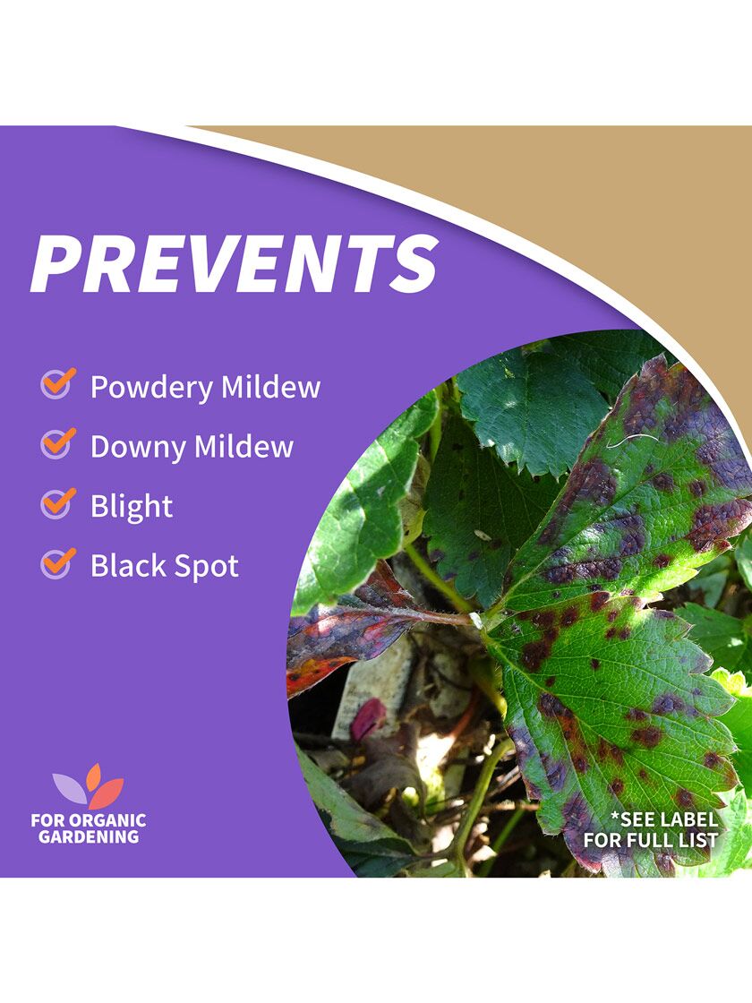 Bonide Copper Organic Fungicide Ready to Use