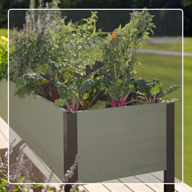 Eco-Stained Elevated Cedar Planter Box with Moss stain  and vegetables growing in box