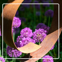 Corten Steel Garden Sculpture with purple flowers in the background