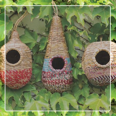 Artisan bird nester bird houses against wall covered in leafy vines