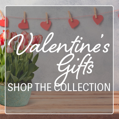 Valentine's Gifts Collection ad with Valentine's Bloom Bulb Garden in background