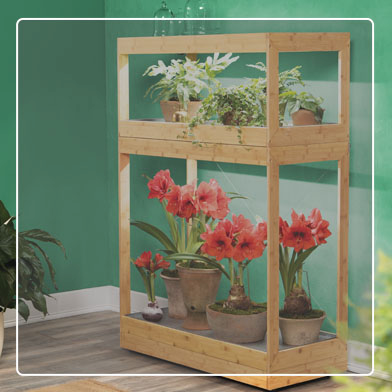 Bamboo Home LED Grow Light Stand with amaryllis on lower tier and potted plants on upper tier