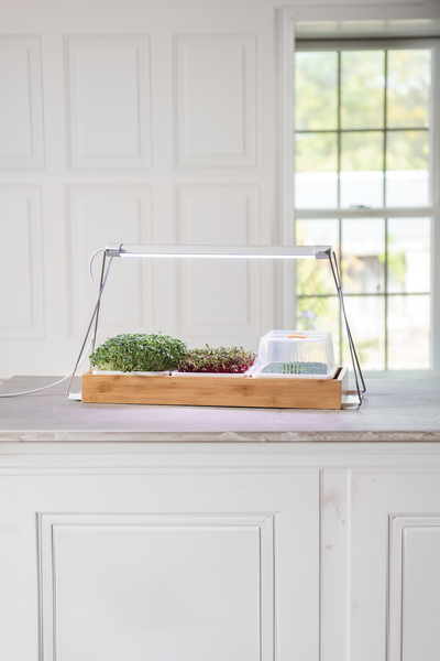 Bamboo Microgreen Tray with Grow Light Kit