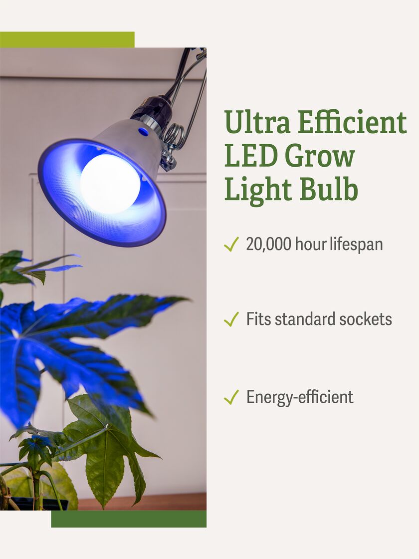 Miracle LED Blue Grow Light Bulb Gardener s Supply