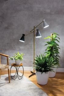 Decorative grow deals lights