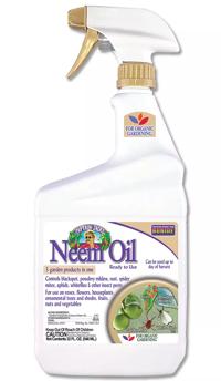 Neem Oil