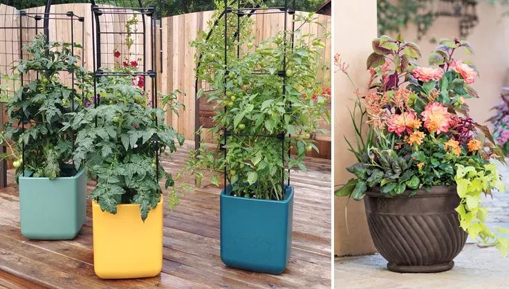 Fabric Grow Bags Garden Vegetable Tomato Planters for Outdoor Plant Seed  Root Nursery Container Flower Pot Farm Garden Tools