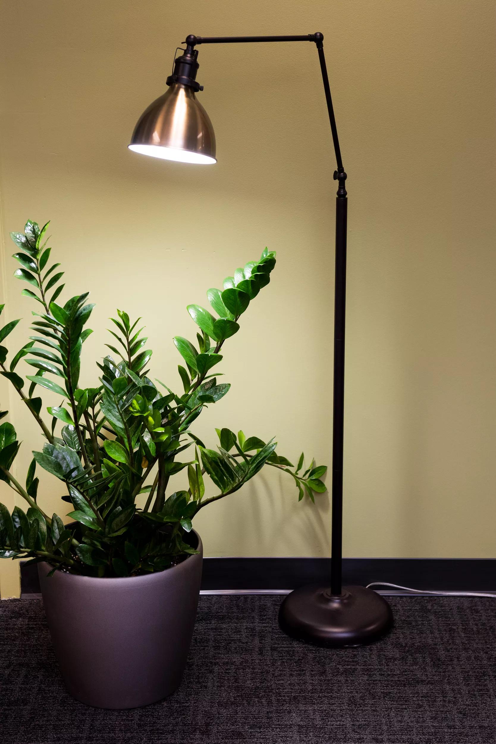 Alden LED Grow Lamp