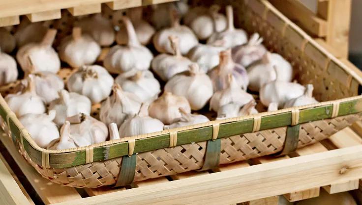 Garlic storage in bamboo basket