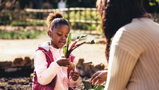 Harvest Hope