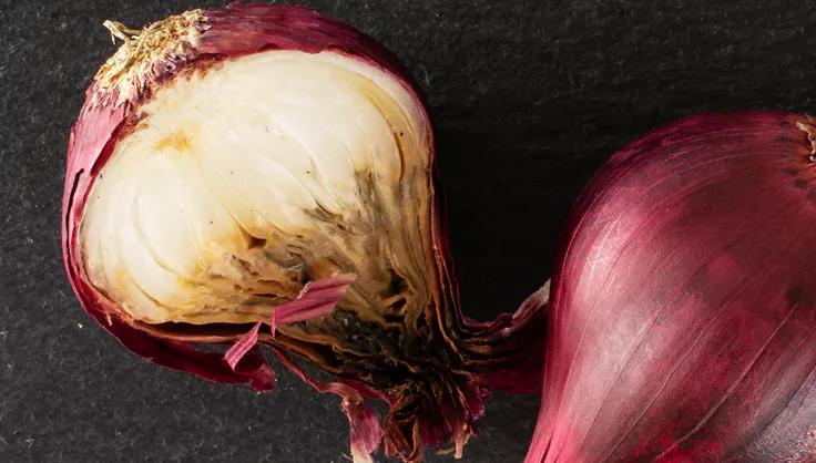 onion neck rot on red onion