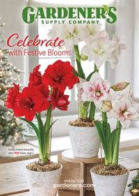 Celebrate with festive blooms. Catalog cover.