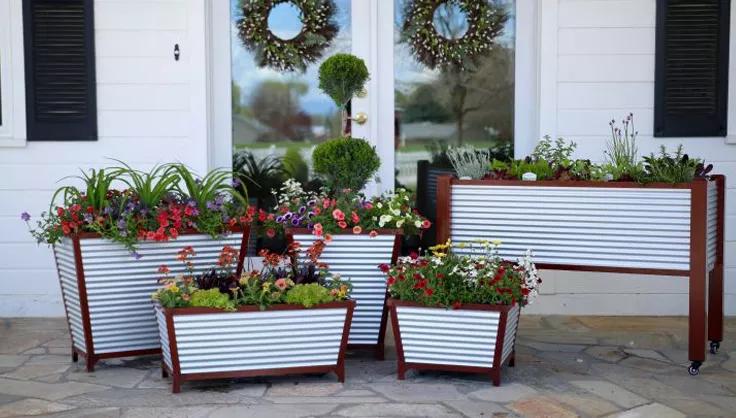 Galvanized metal containers planted with flowers