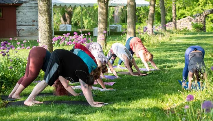 Yoga in the Garden