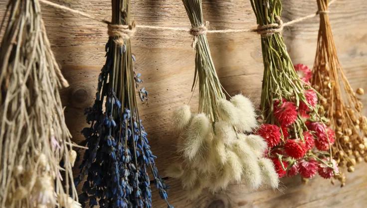 Flower hanging from twine drying