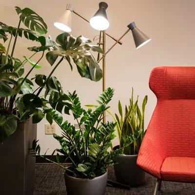 Led grow deals light floor lamp