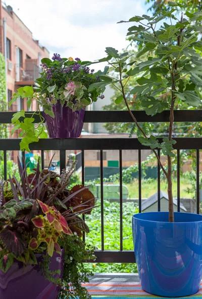  Viva Planters on a balcony