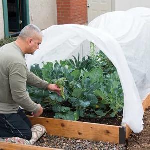 Man tending garden with All-purpose fabric covering a raised bed
