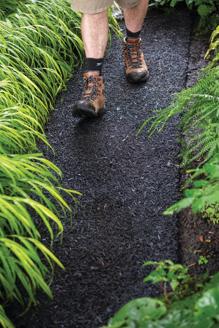 Person walking on Recycled Rubber Walkway between green plants in garden beds on either side