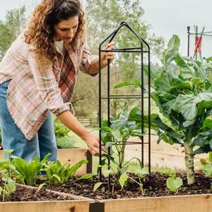 Zenith plant supports being inserted in a raised bed around pepper plant