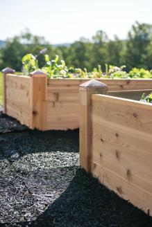 Copper Capped Raised Beds with recycled rubber walkway between them