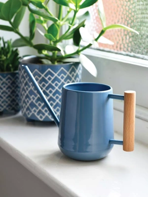 Pinpoint Indoor Watering Can