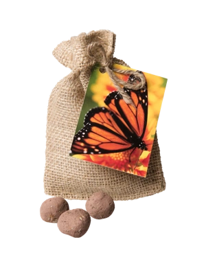 Monarch Butterfly Seed Balls