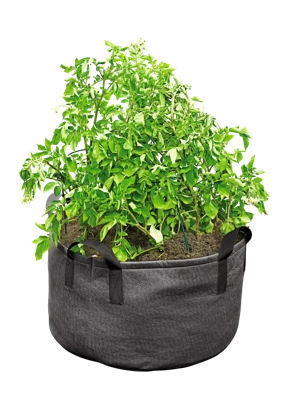 Gardening in Grow Bags: 5 Tips for Success  Garden bags, Grow bags,  Container gardening vegetables