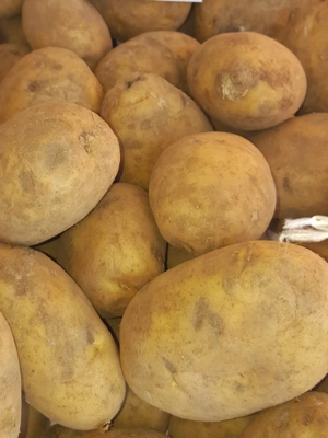 Kennebec Organic Seed Potatoes