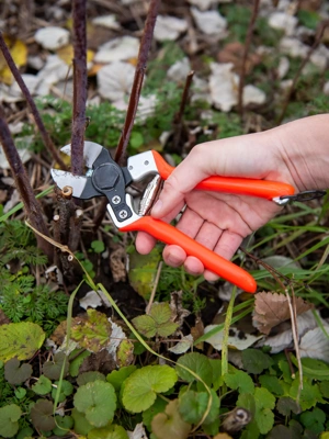 Pocket Snips - Orange - Herb Tools | Gardener's Supply Company