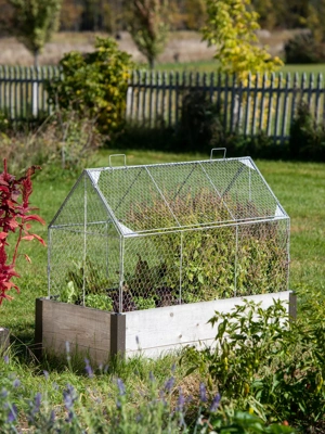 Hanging Birdcage Planter Set