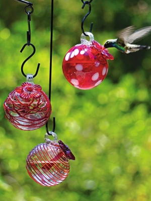 Droplet Hummingbird Feeders, Set of 3