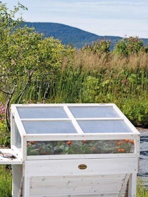 Cold Frame for Compact VegTrug®