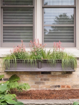 Fairfield Self-Watering Window Box, 5’