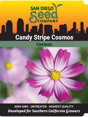 Candy Stripe Cosmos Seeds