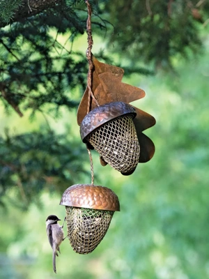 Bird Feeder Camera Kit with Wooden Feeding Station