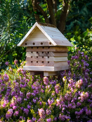 Solitary Bee Hive