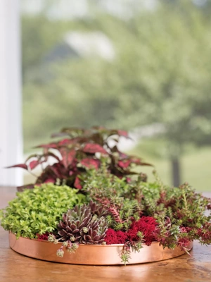 Crisscross Cascading Plant Stand with Copper Trays