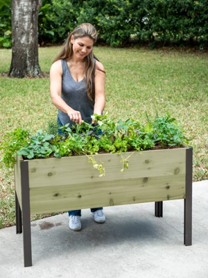 Self-Watering Eco-Stained Elevated Cedar Planter Box, 2' x 4'