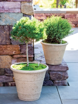 Self-Watering LavaStone® Anson Pot