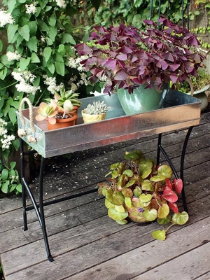 Plant Trays + Dishes  Garden Trays, Dishes + Plant Stands - Terrain