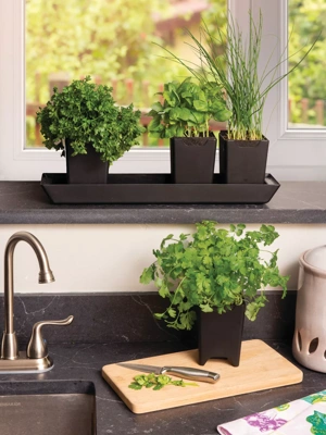 Kitchen Sink Shelf Planter Indoor Planter Over the Sink Space