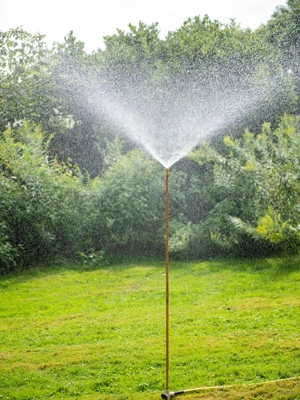 Hi-Rise Lifetime Sprinkler