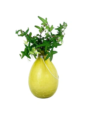 Achla Designs Teardrop Rooting Vase