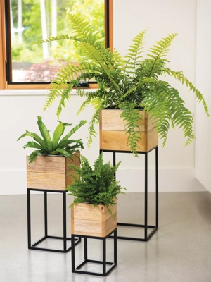 Using Boxes For Houseplants: How To Make An Indoor Planter Box